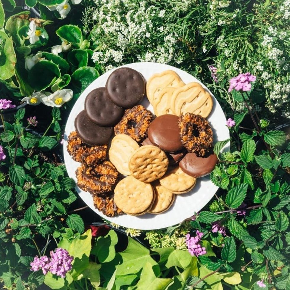 Wait, Whoa: You Can Buy Girl Scout Cookies from Amazon