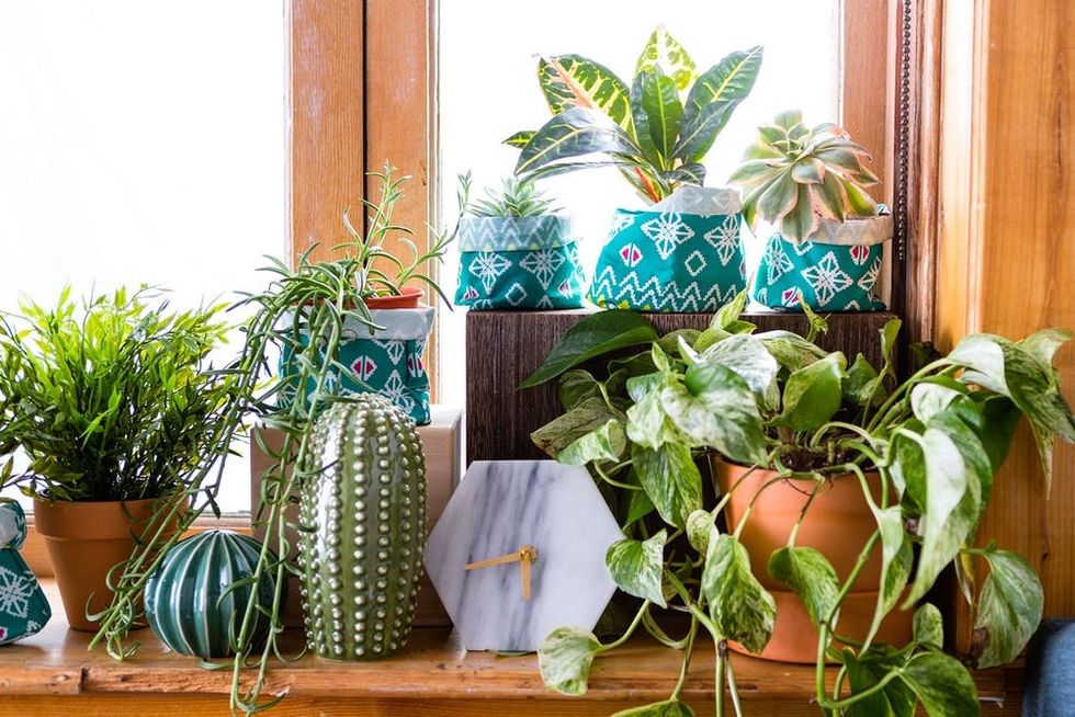 Use This IKEA Hack to Spruce Up Your Plant Shelfie - Brit + Co