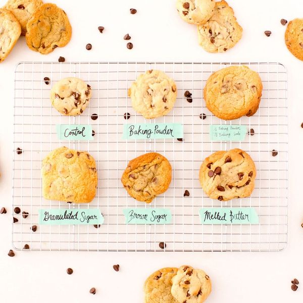 Chocolate Chip Recipes - Brit + Co