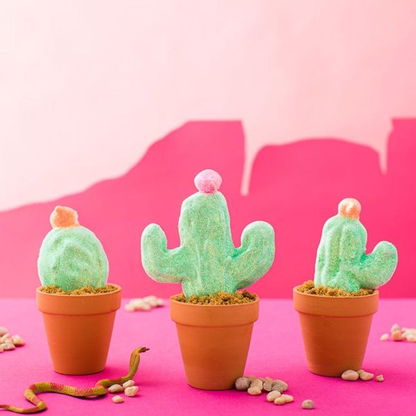 DIY Pipe Cleaner Cacti