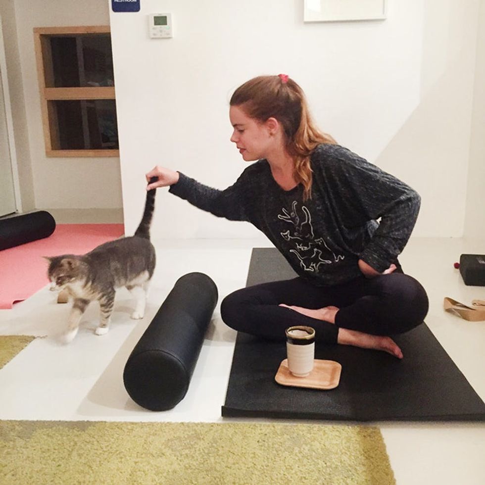 The Purrfect Stretch: Why Cat Yoga Will Have You Feline Zen