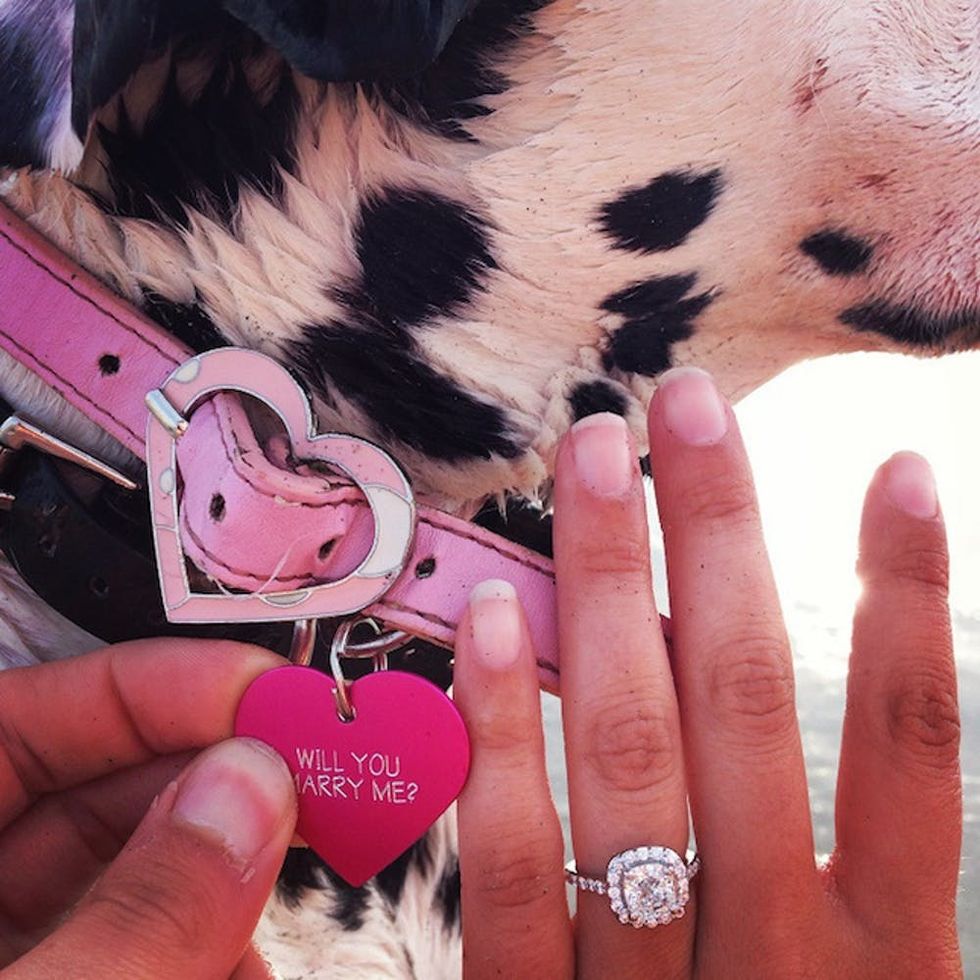 10 Cute + Creative Pet Proposals That Will Make You Melt