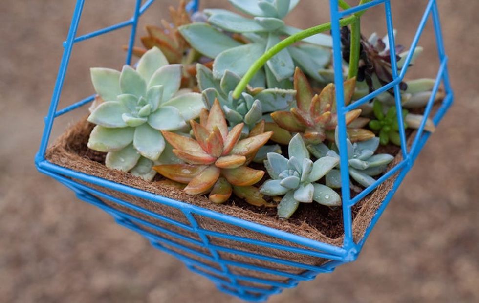 Made Us Look: Bright Geometric Gem Planters