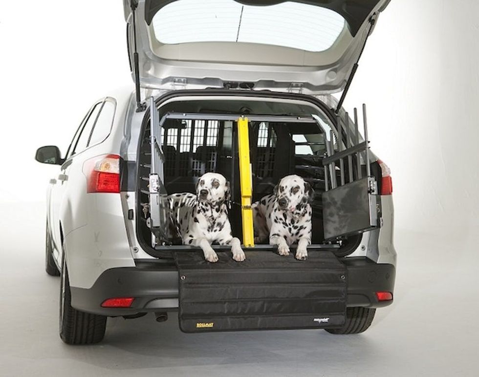 Keep Your Puppy Protected in the Car With the Safest Crate Ever