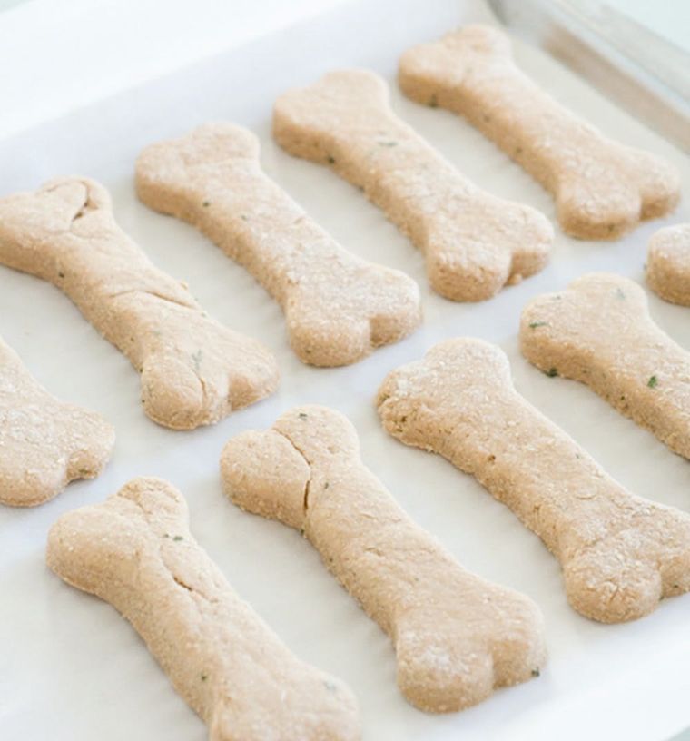 The Holstein Pet Treat Maker: Makes Homemade Dog Biscuits in 7 Minutes!