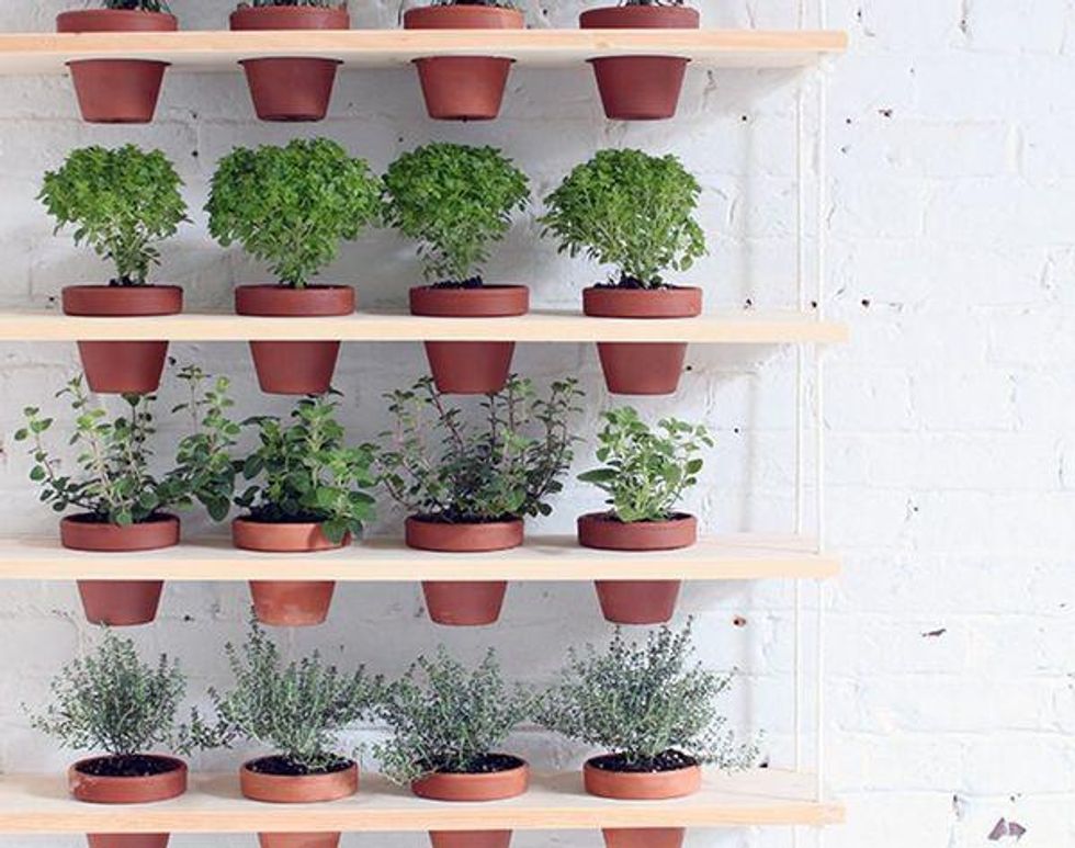 14 Tiny Outdoor Garden Ideas - Brit + Co