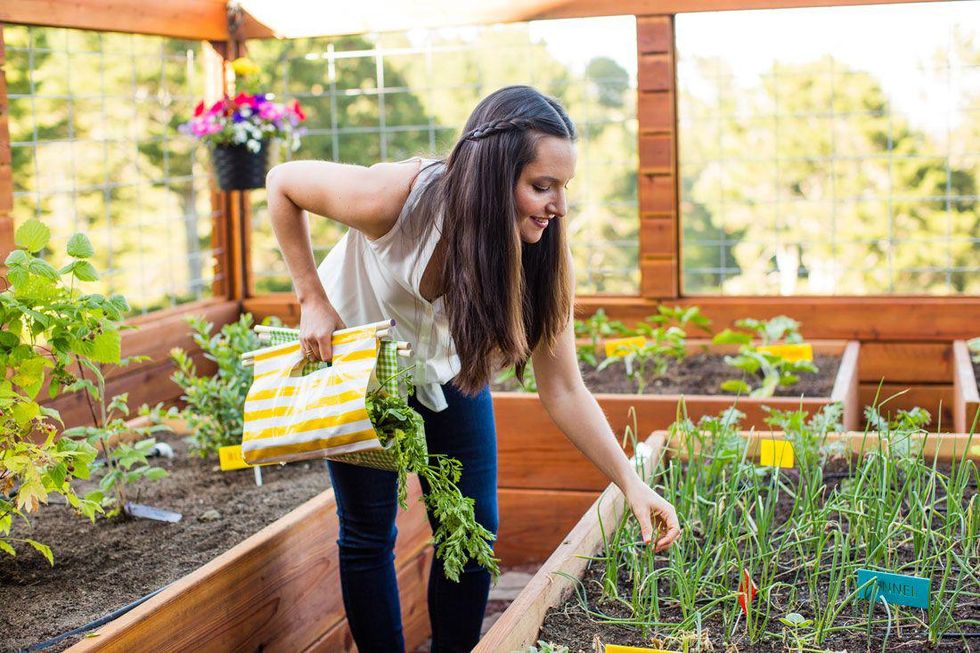 How to Make an Edible Garden - Brit + Co