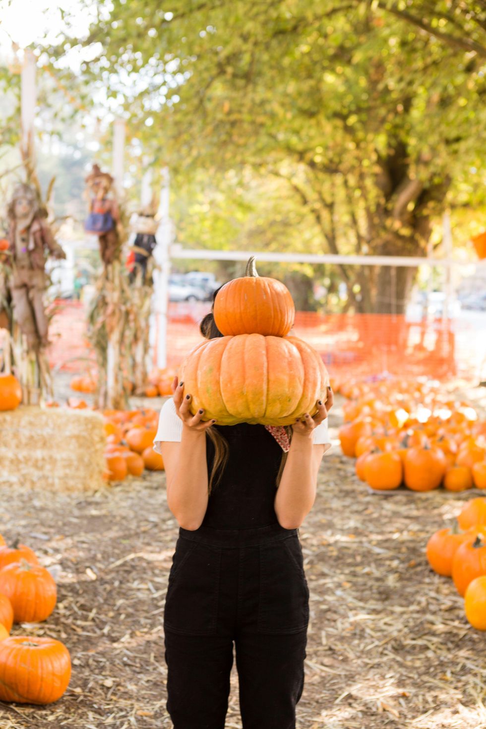 pumpkin picking fall activities