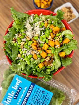 astronaut food, space salad recipe with little leaf farms