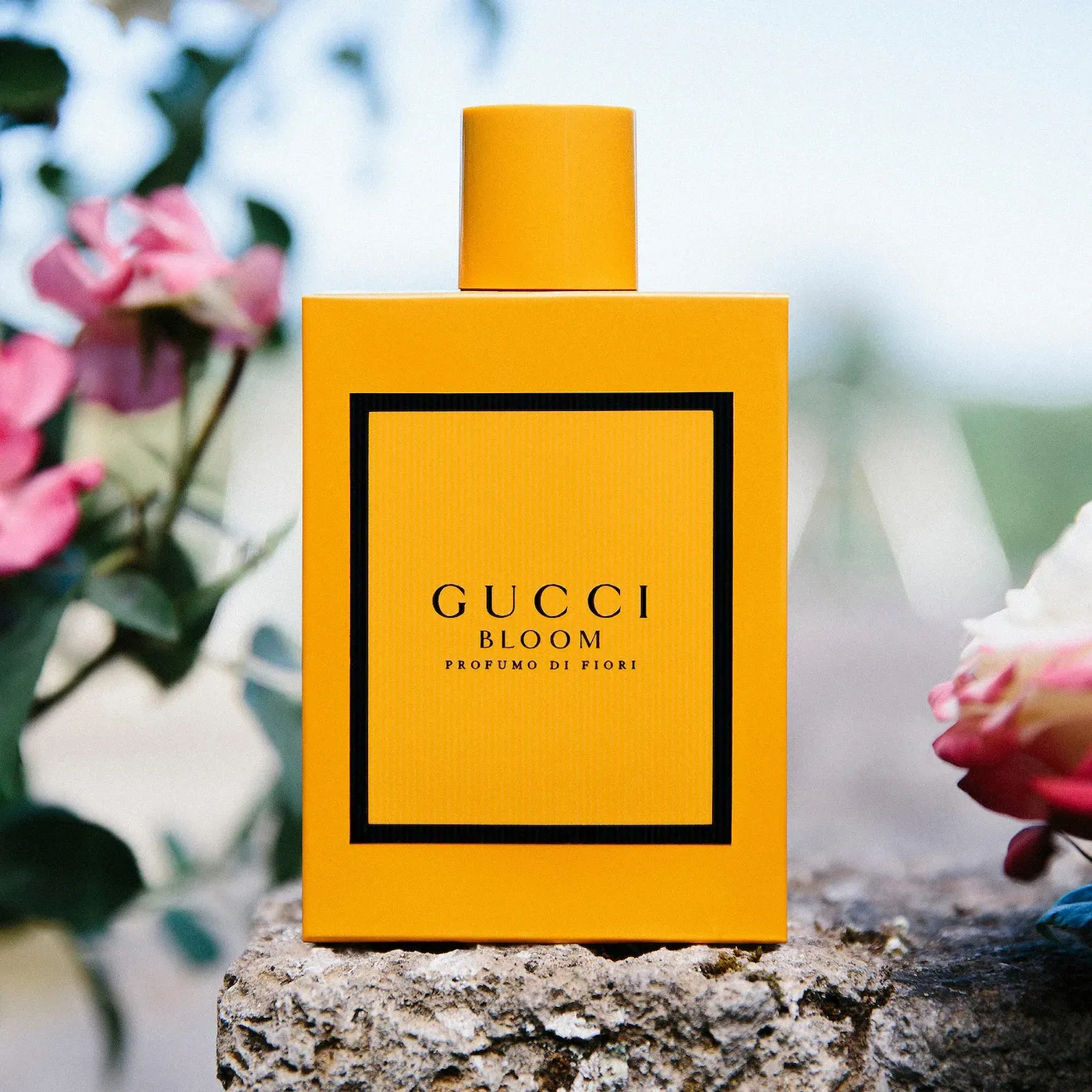 8 best summer fragrances 