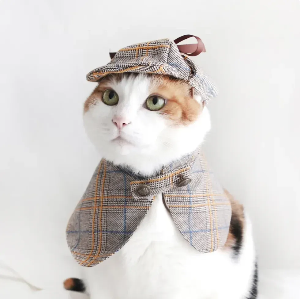 100 genius pet halloween costumes