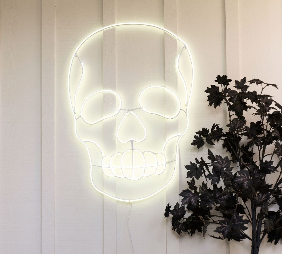 LED Skull Wall Art Pottery Barn Halloween