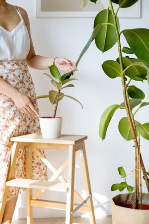 woman next to her indoor plants