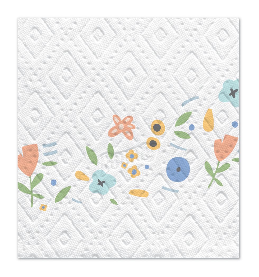 lisa nelson bounty paper towel