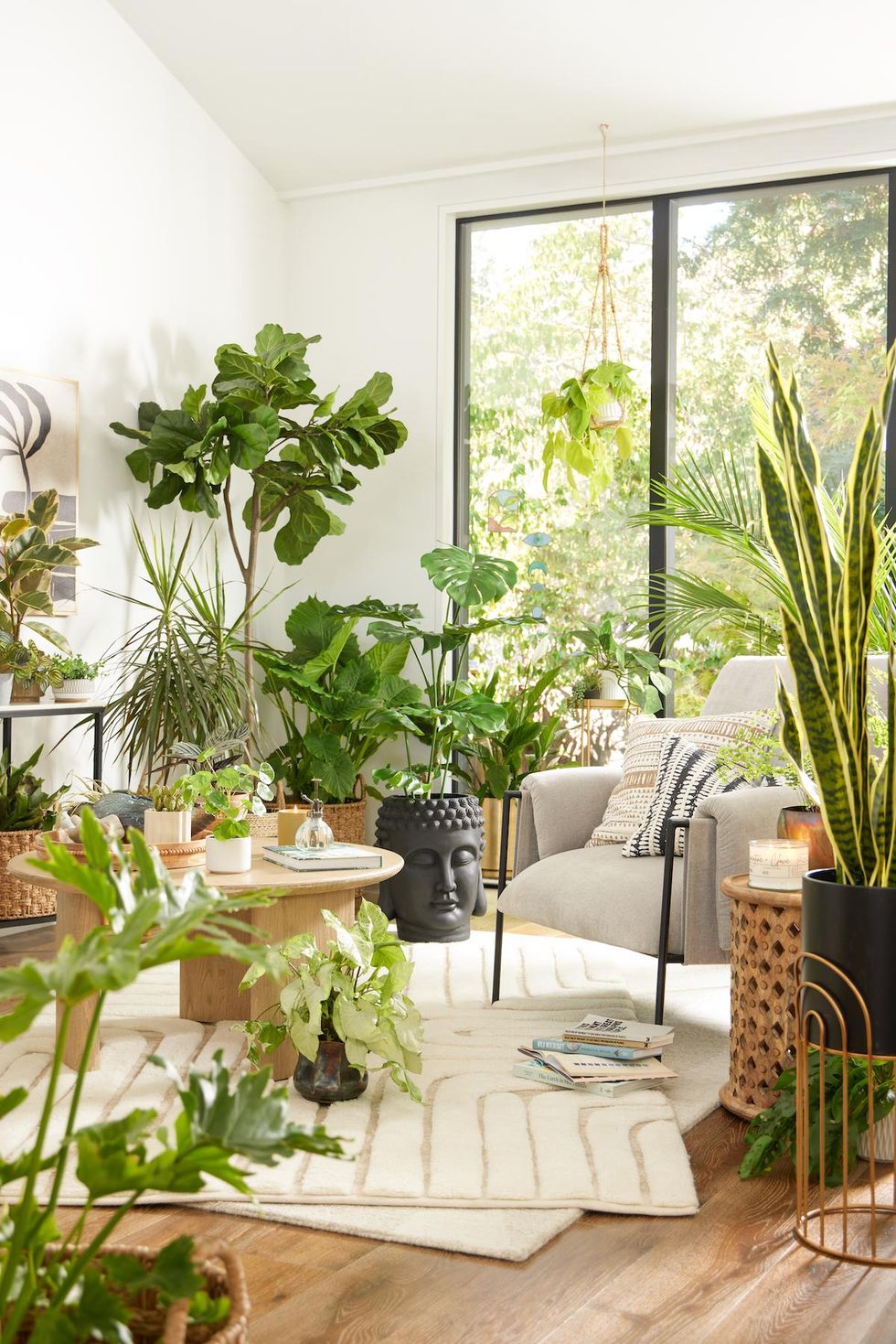 living room with plants and furniture