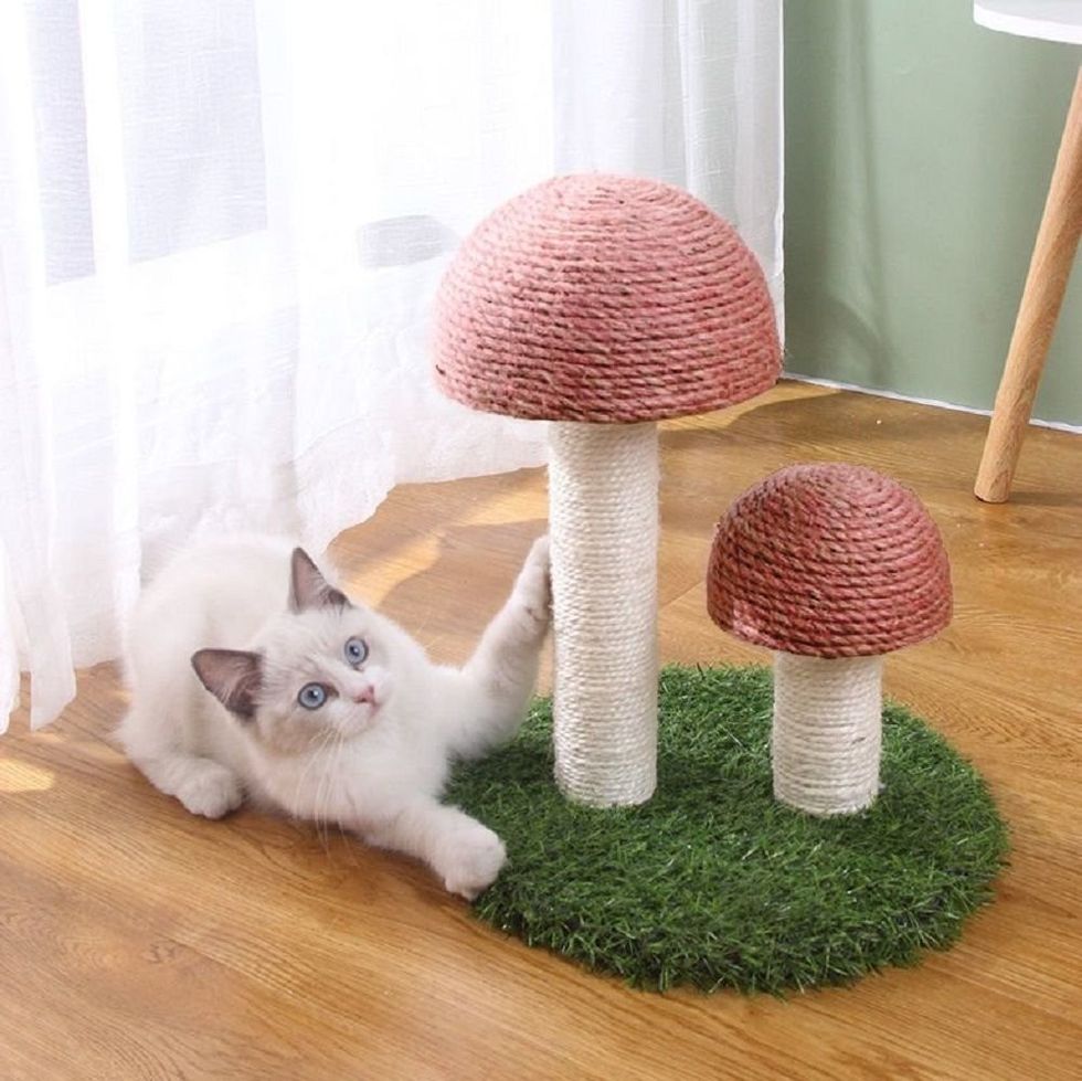 Lovely Caves Garden Mushroom Cat Scratcher