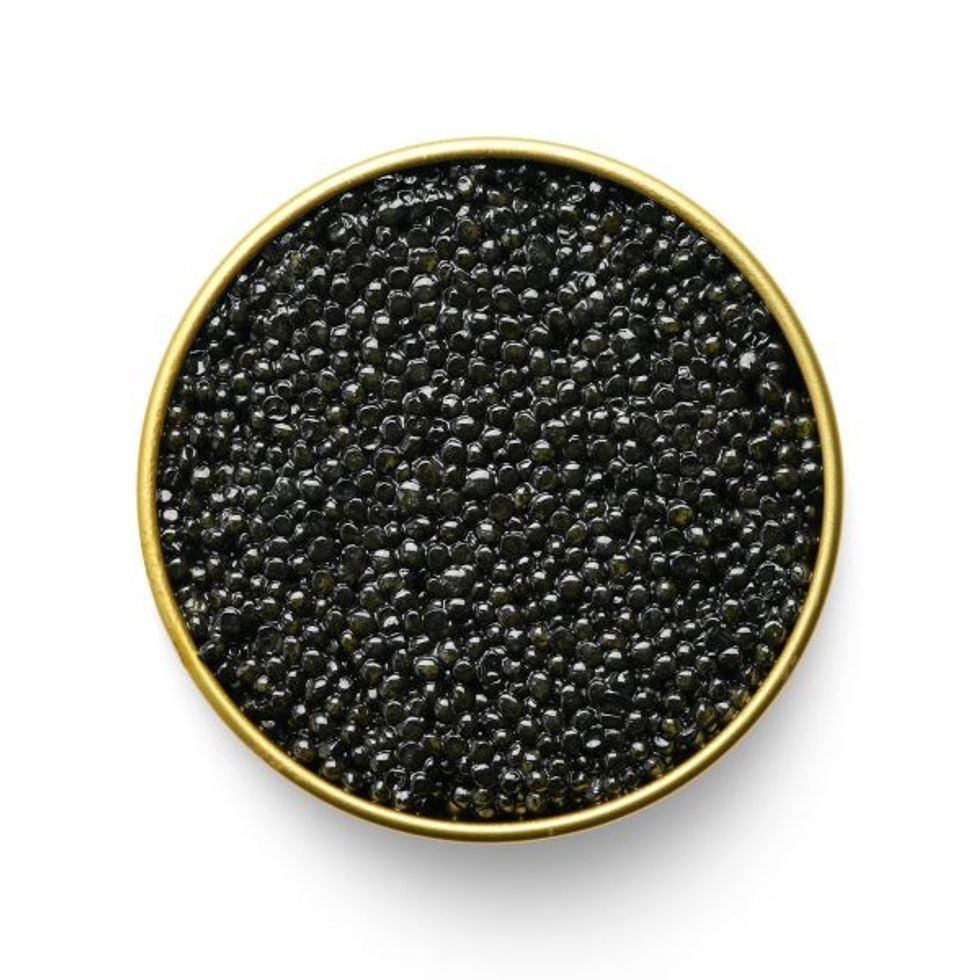 Marky's Siberian Sturgeon Caviar