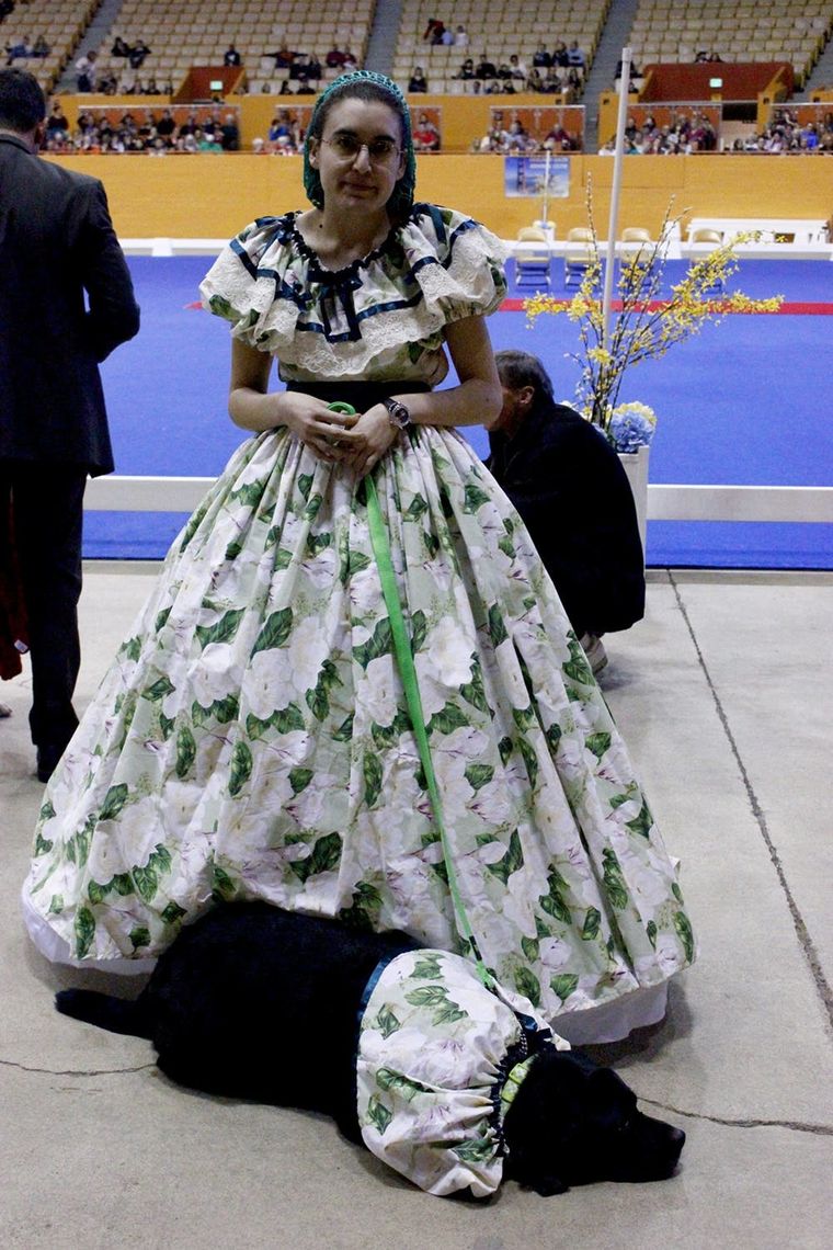 The 9 Cutest Dog Costumes We Spotted at the San Francisco Dog Show