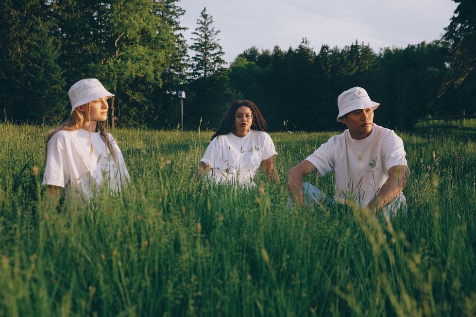 Midsommar friends