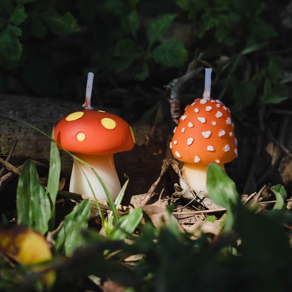 Mini Mushroom Candle Set