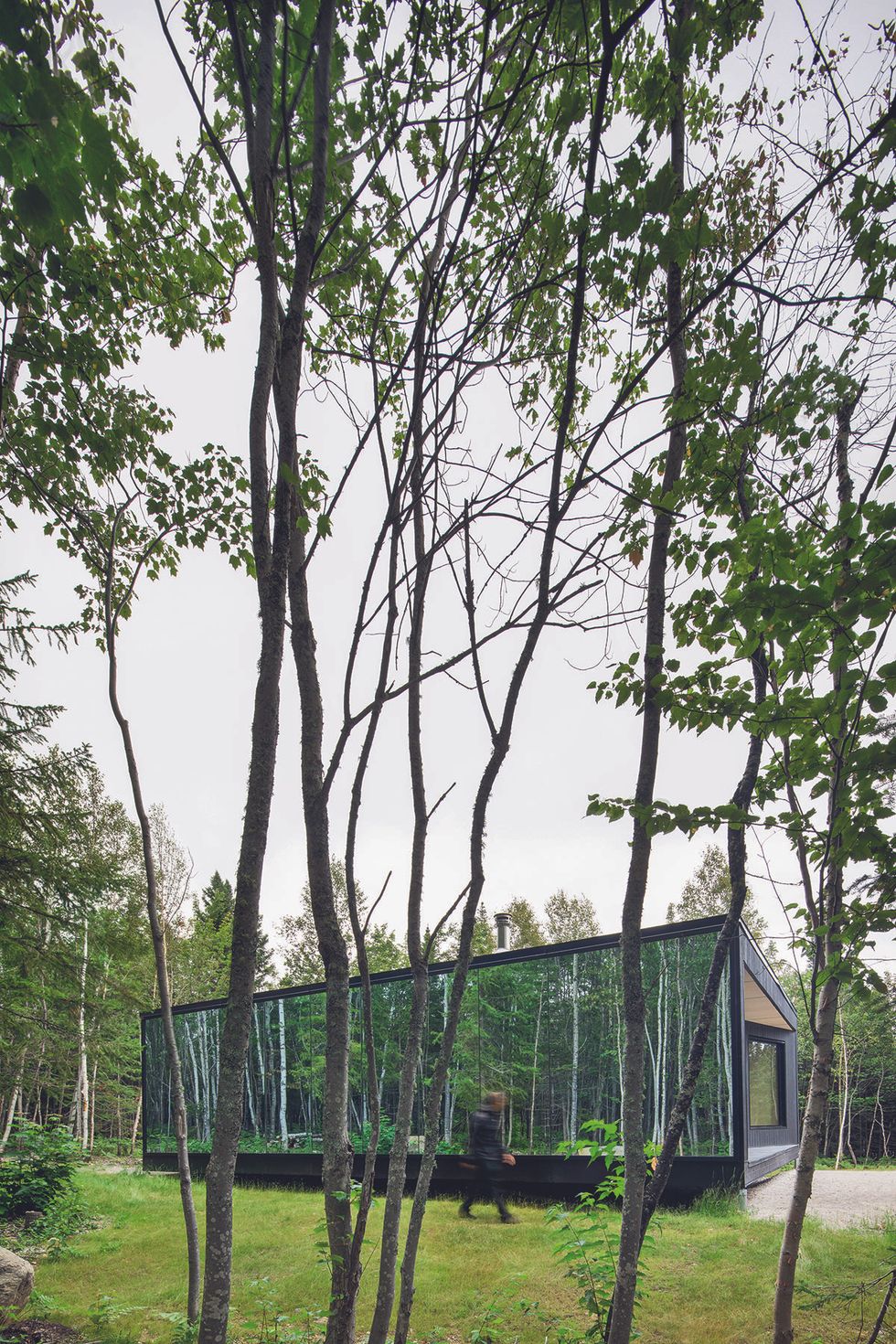 modern cabin reflective facade