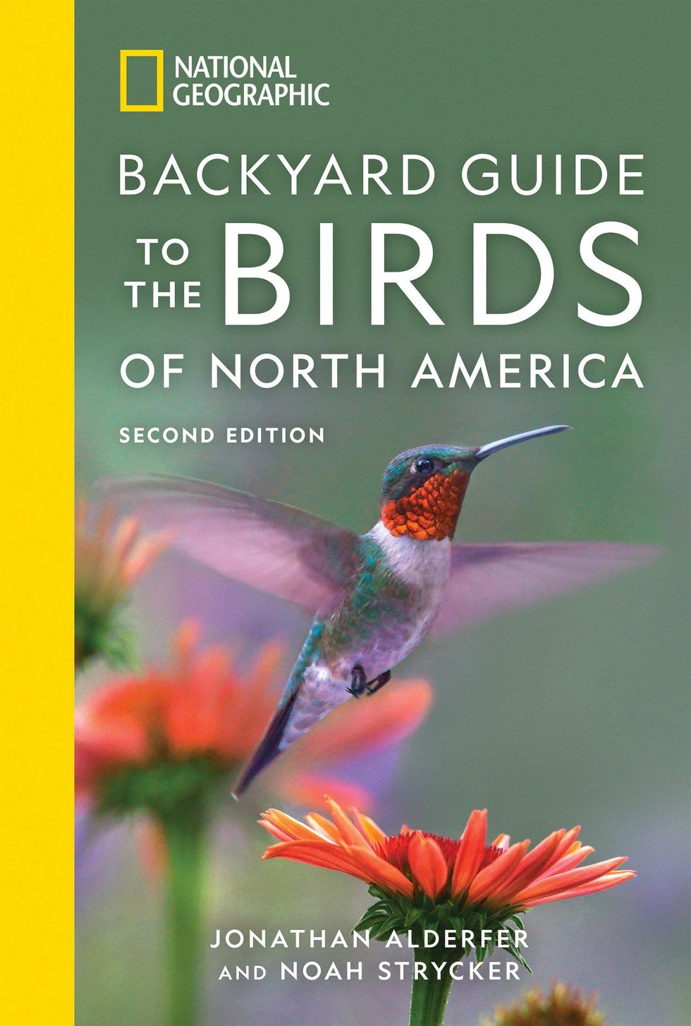 National Geographic Backyard Guide to the Birds of North America bird watching hobby