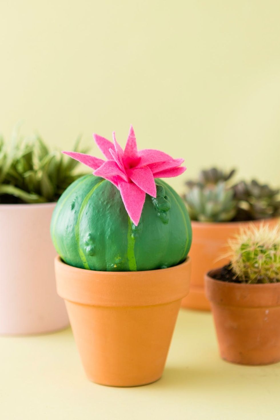 No-Carve Painted Cactus Pumpkin