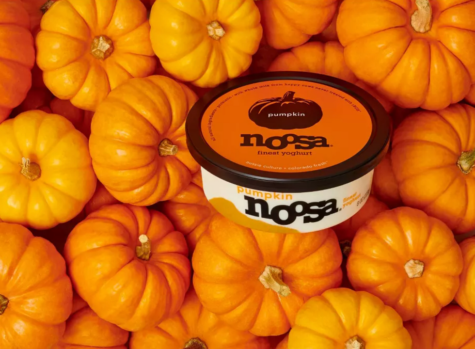 Noosa Pumpkin Yogurt