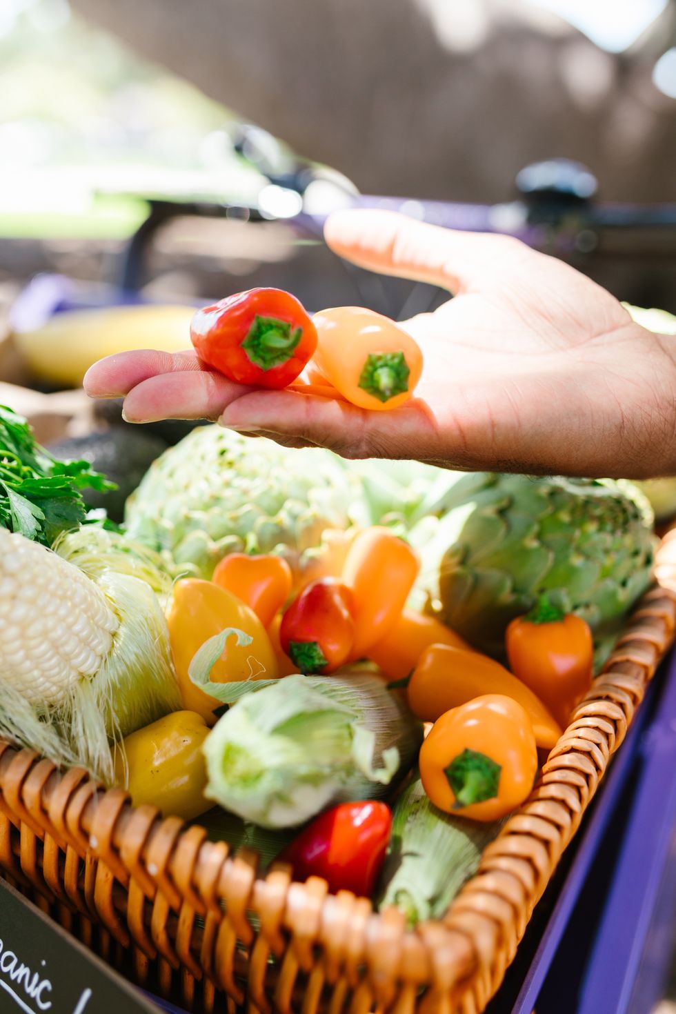 one hand holding two peppers