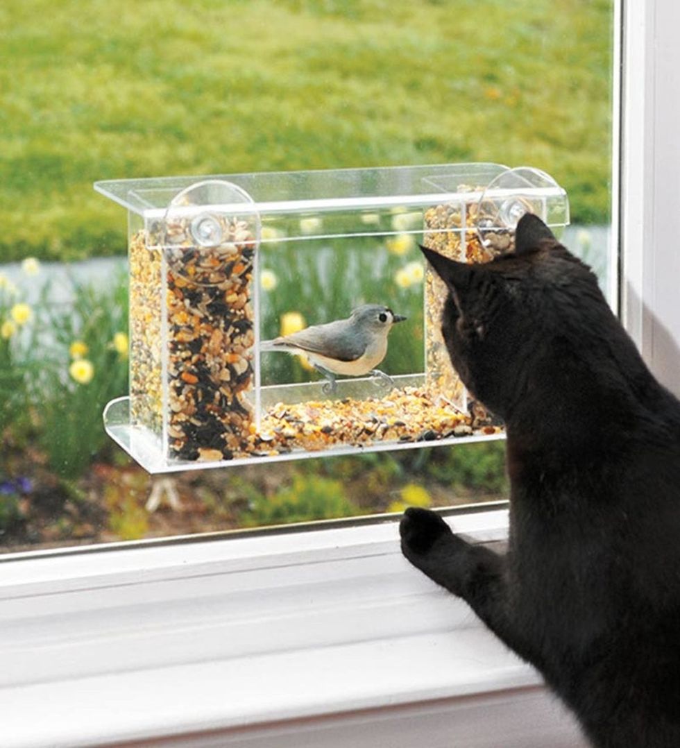 One-Way Mirror Window Mount Bird Feeder