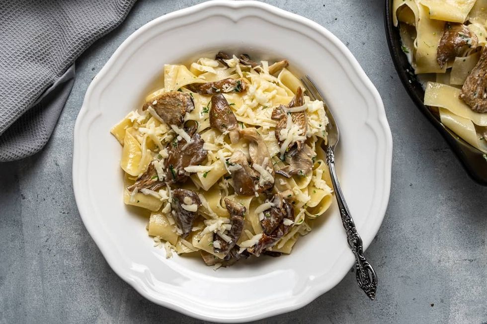 oyster mushroom pasta with creamy sauce