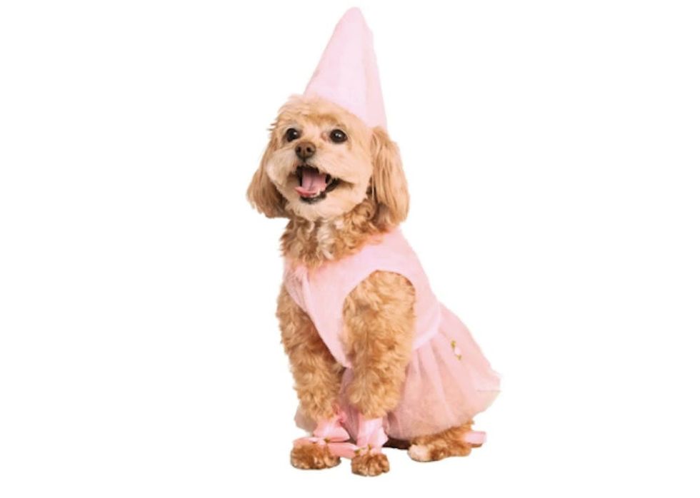 81 Dog Halloween Costume Ideas for Your Pooch - Brit + Co - Brit + Co