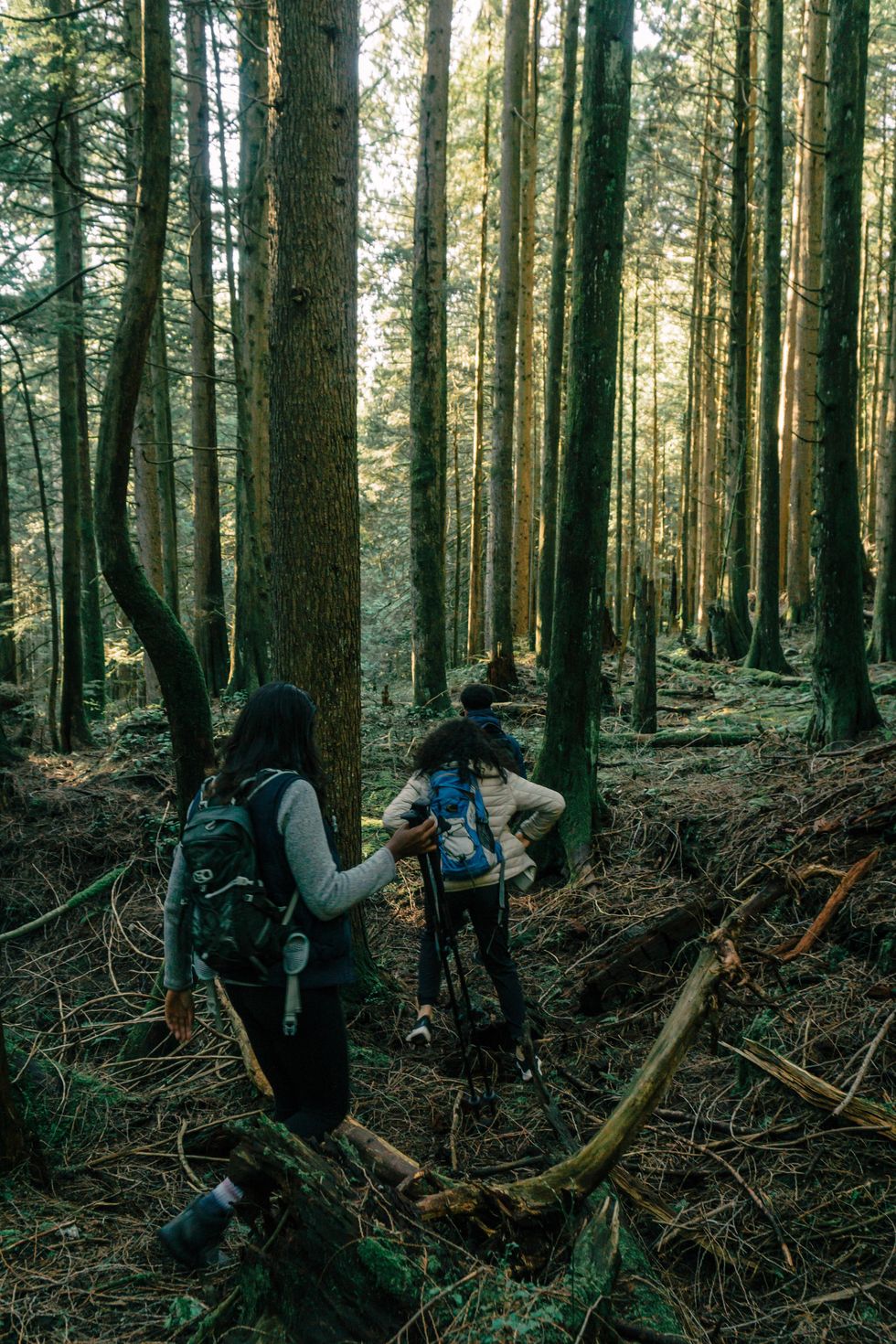 Randonauting outside in a forest