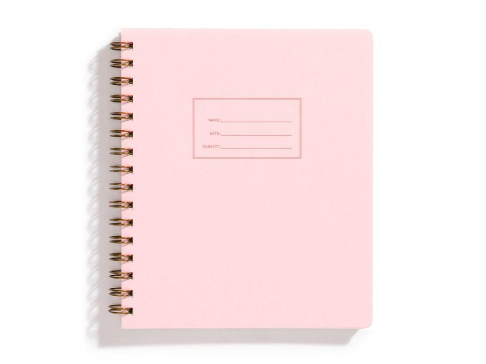 Shorthand Standard Notebook in Pink Lemonade