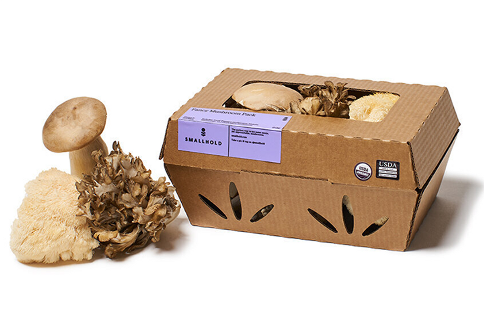 Smallhold Fancy Mushroom Pack