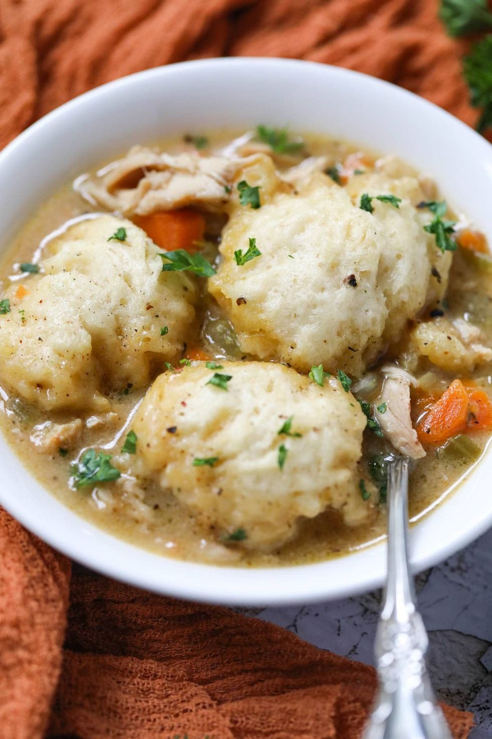 Southern Homemade Chicken And Dumplings