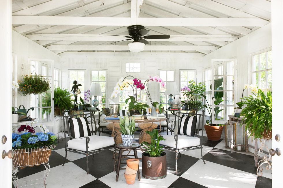 sunroom with plants