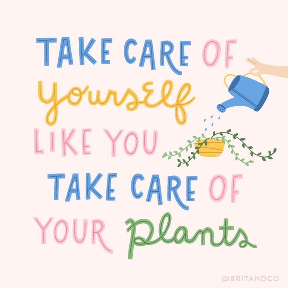 taking care of your plants