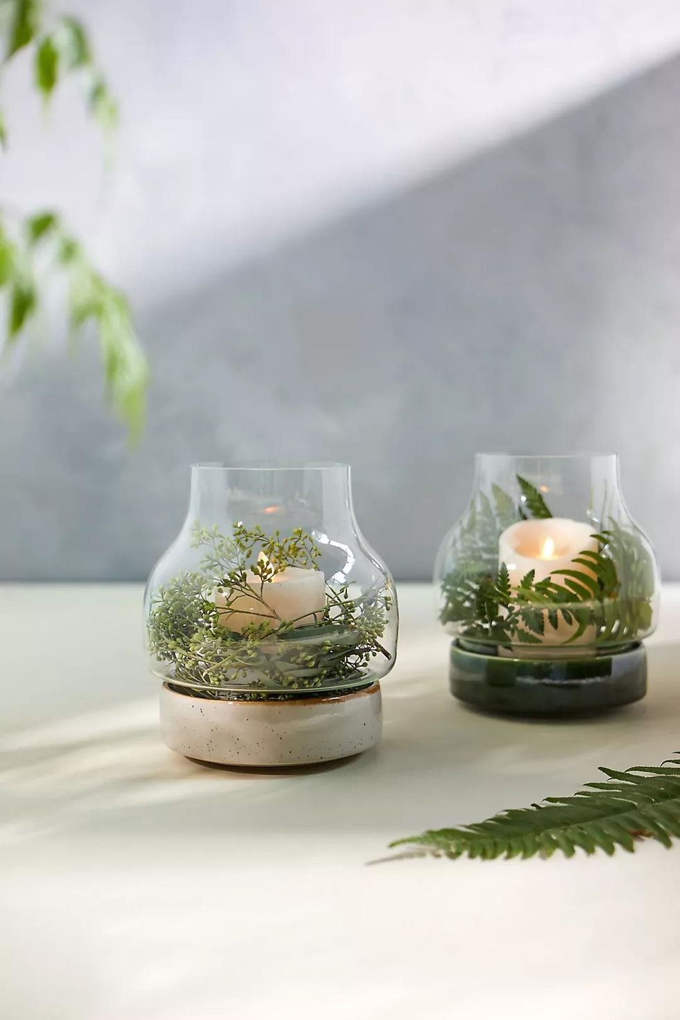 Terrain Ceramic Base Terrarium