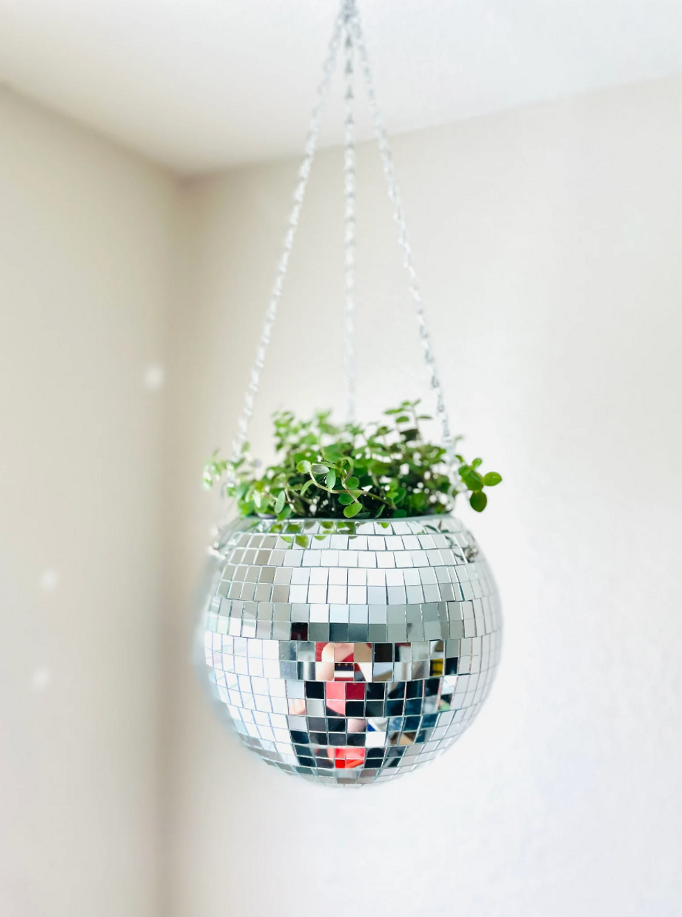 The Disco Shop Hanging Disco Ball Planter