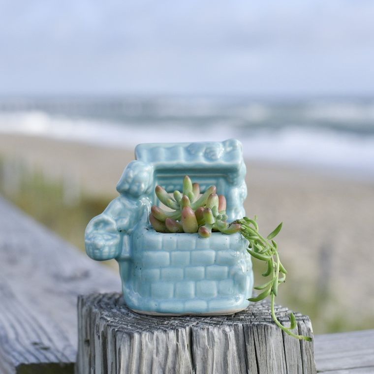 The Outer Banks Candle Company