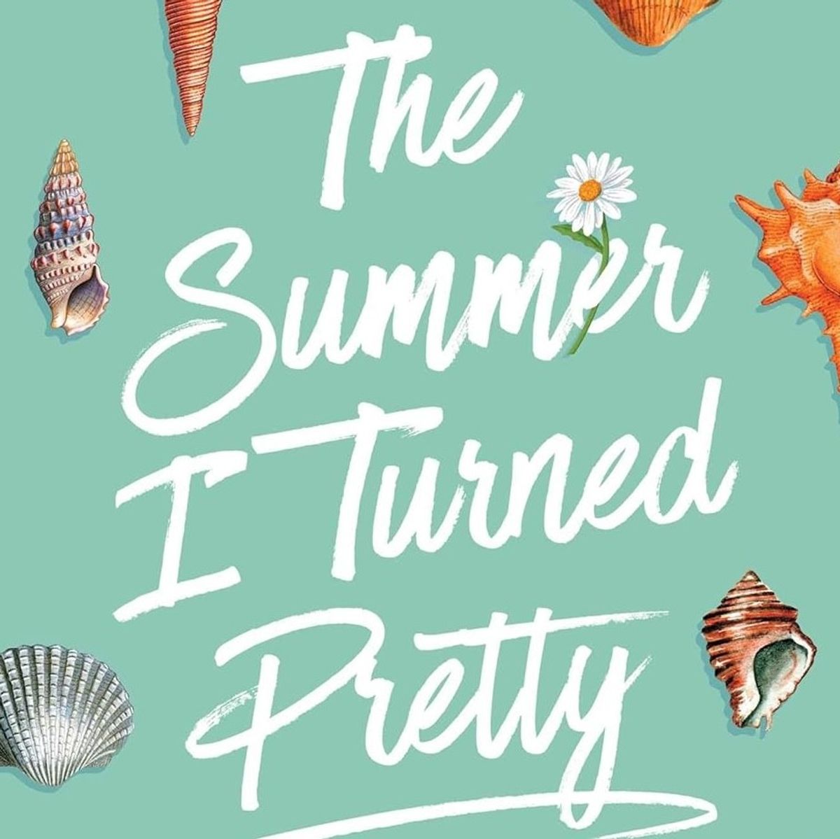 'The Summer I Turned Pretty' Books