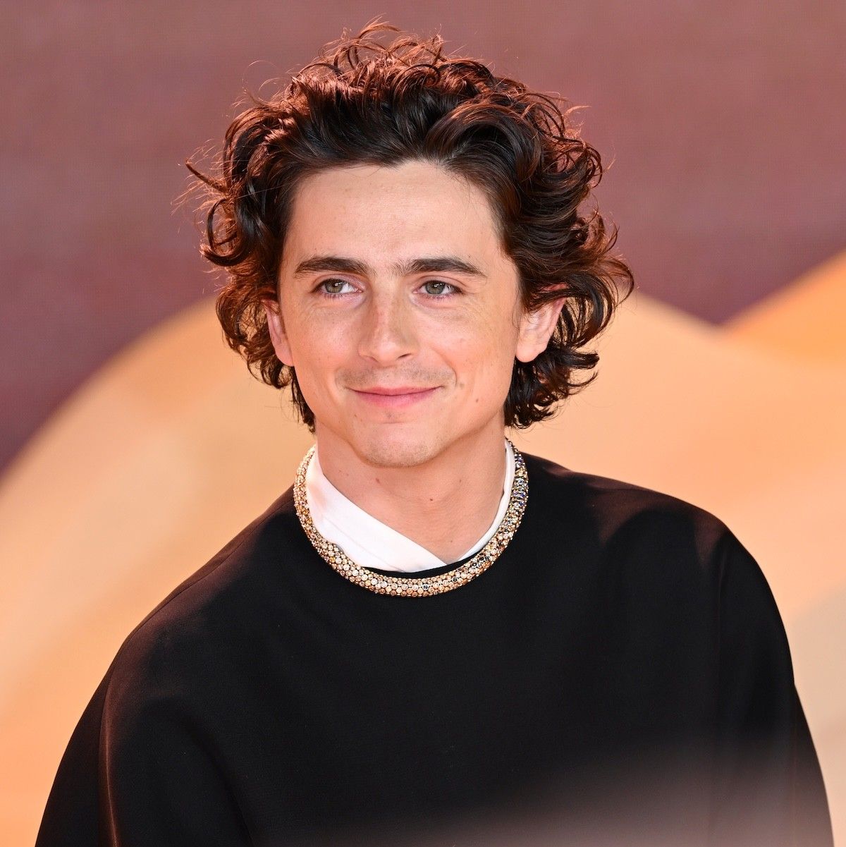 Timothée Chalamet Lookalike Contest