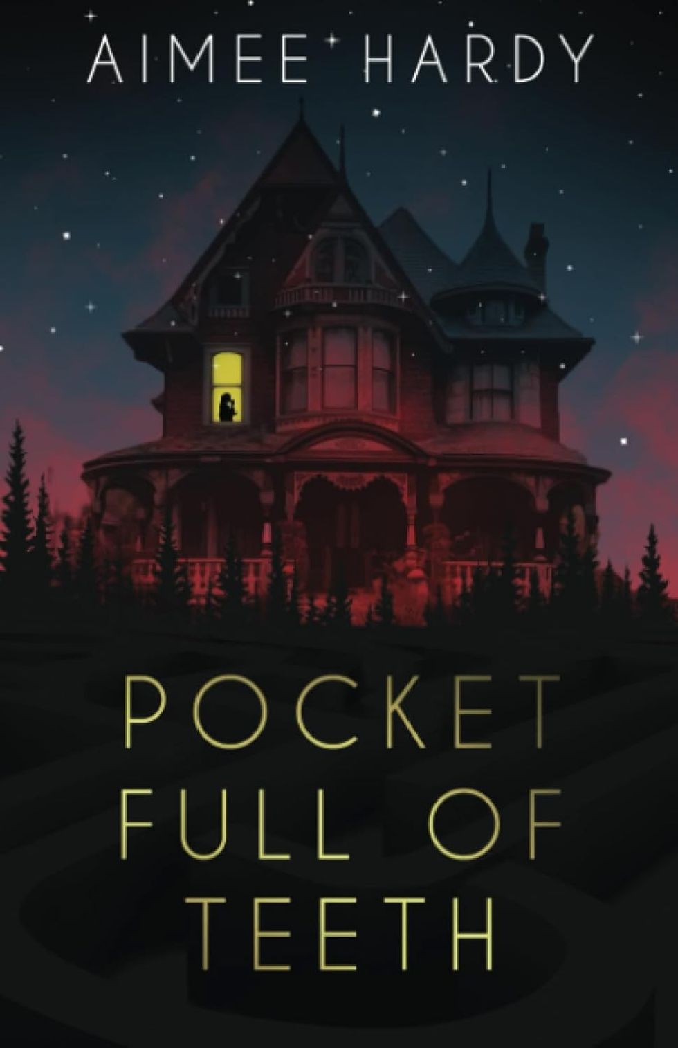 \u200bPocket full of teeth by Aimee Hardy