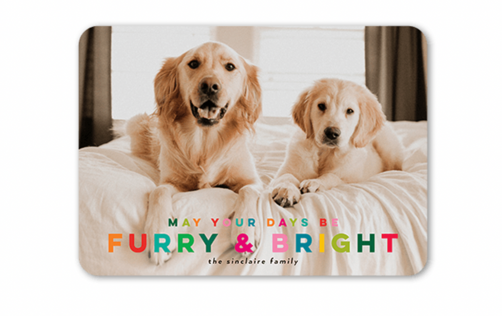 \u200bPoppy Studio Festively Furry Holiday Card