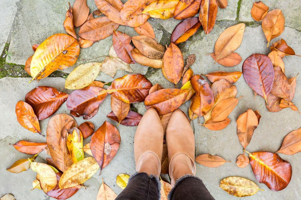 Where To Find Fall Foliage — Brit + Co - Brit + Co