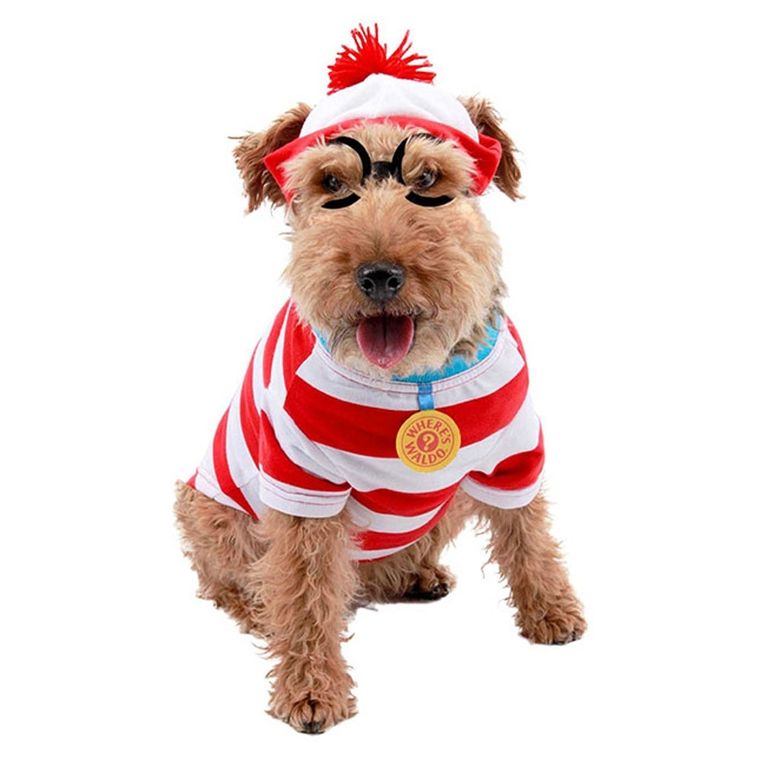 DIY Dog Costumes - Carrie Elle