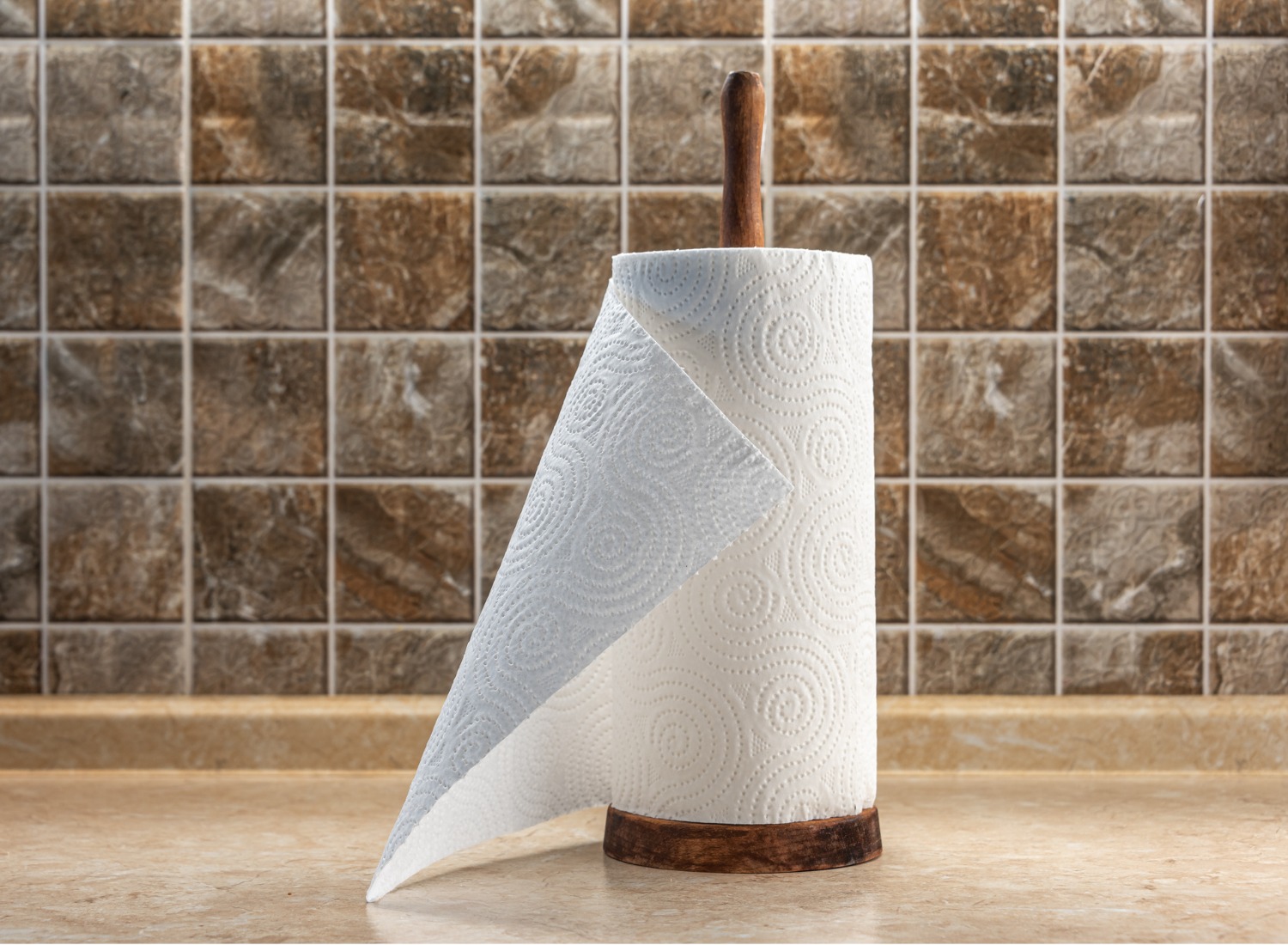 Top 15 Paper Towel and Napkin Holders in 2023